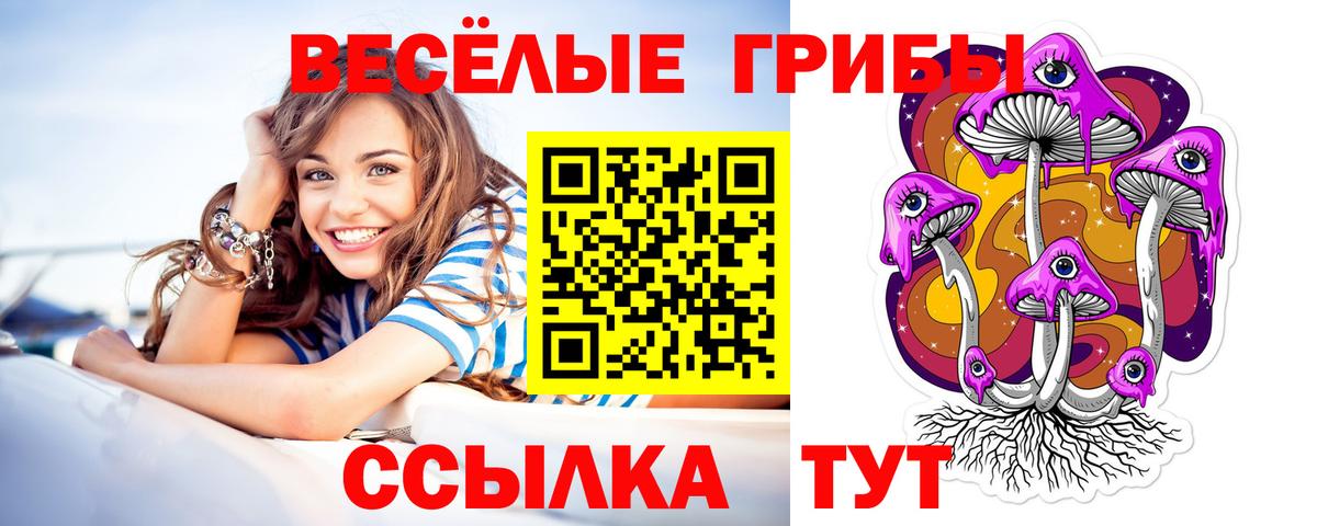 Галлюциногенные грибы Psilocybine cubensis Ростов-на-Дону